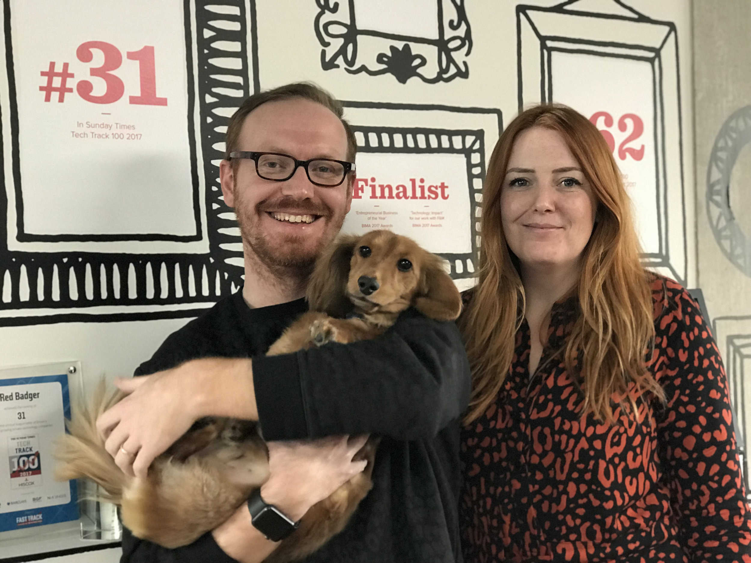 Our three ginger Badgers