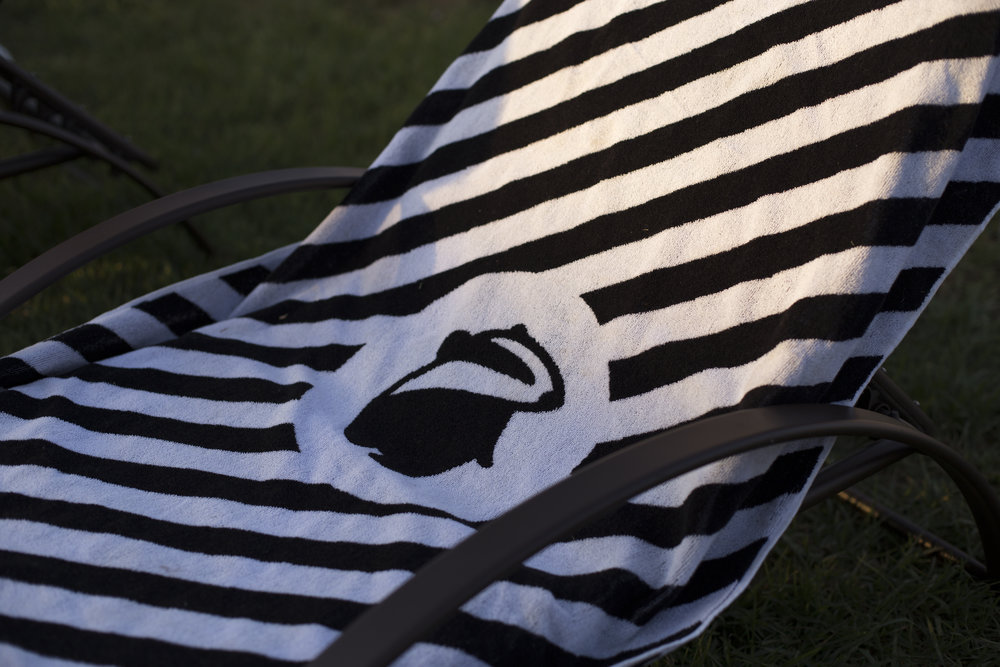 Another example of branding was the Red badger towel featuring our badger logo central to black and white horizontal stipes